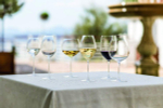 Набор из 2-х бокалов для красного вина Old World Pinot Noir Veritas 700 мл Riedel