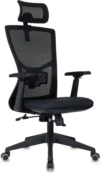 Кресло эргономичное Бюрократ MC-811-H черный Elastic-102 сетка/ткань с подголов. крестов. пластик