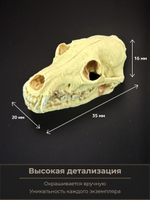 Череп барана миниатюра для декора, настольных игр, тематических предметов, фентези-атрибутов, диорам и инсталяций.
