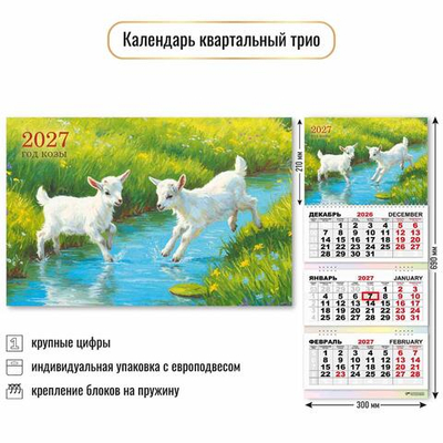 Календарь трио 2027 "Символ года" 10013 (Квадра)