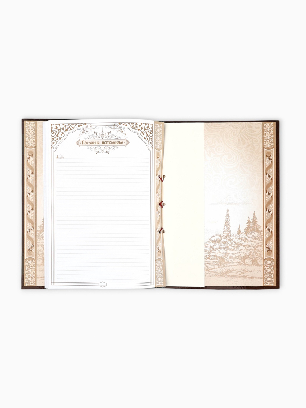 Родословная книга «Семейная летопись», перо, 50 листов, 22х31 см