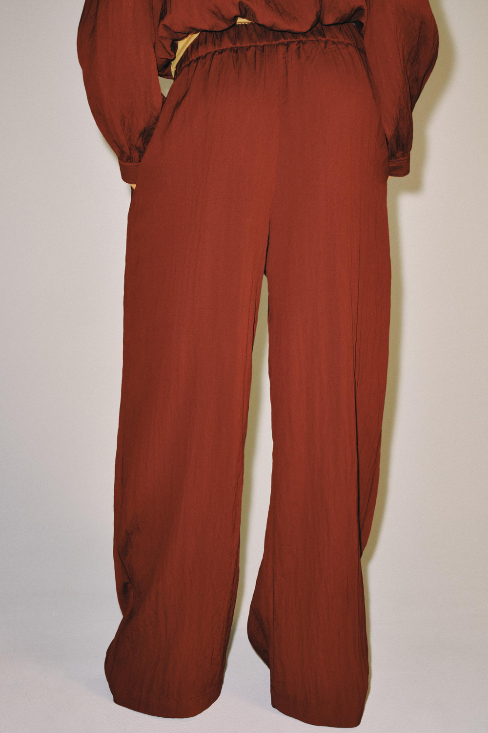 БРЮКИ С РЕМНЕМ И ПРЯЖКОЙ — ZW COLLECTION — ZARA