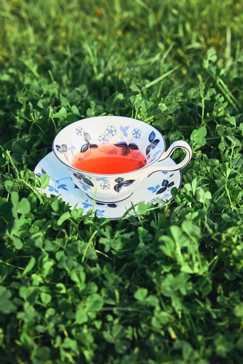 Wedgwood Набор из 2 чайных чашек Wild Strawberry 177 мл с блюдцами Ink Blue EAN 701587481663