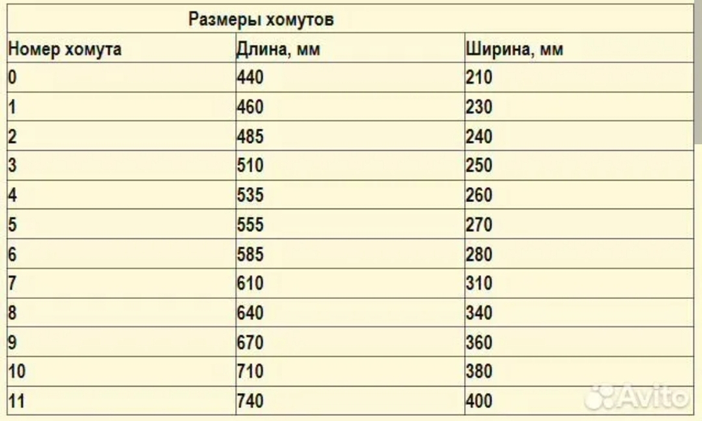 Хомут 8