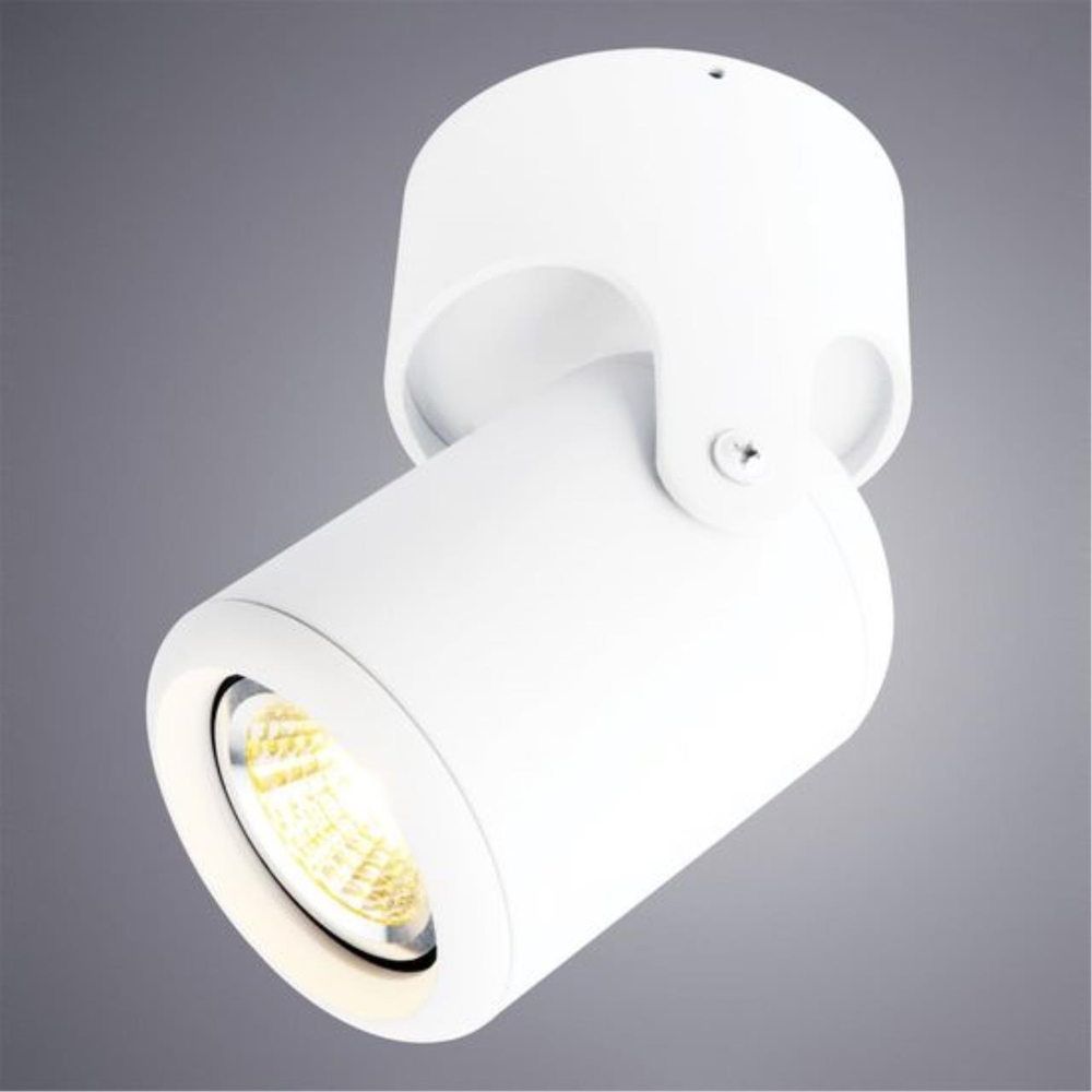 Накладной светильник Arte Lamp LIBRA A3316PL-1WH