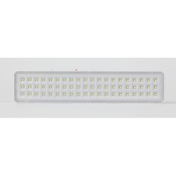 Аварийный светильник светодиодный ЭРА DBA-103-0-20 непостоянный 60LED 5ч IP20 | Светильники аварийные