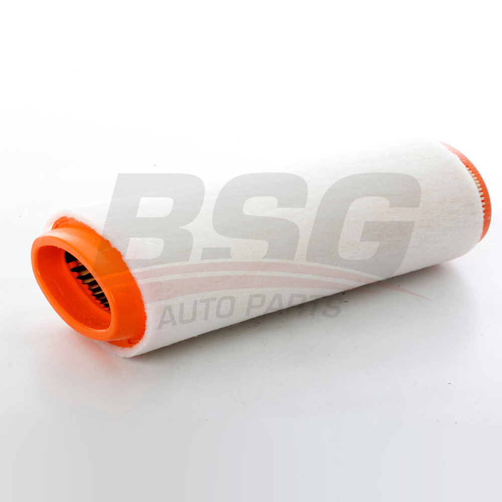 BSG - BSG15135005-BSG - Air Filter