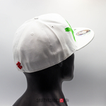 Винтажная бейсболка Roca Wear