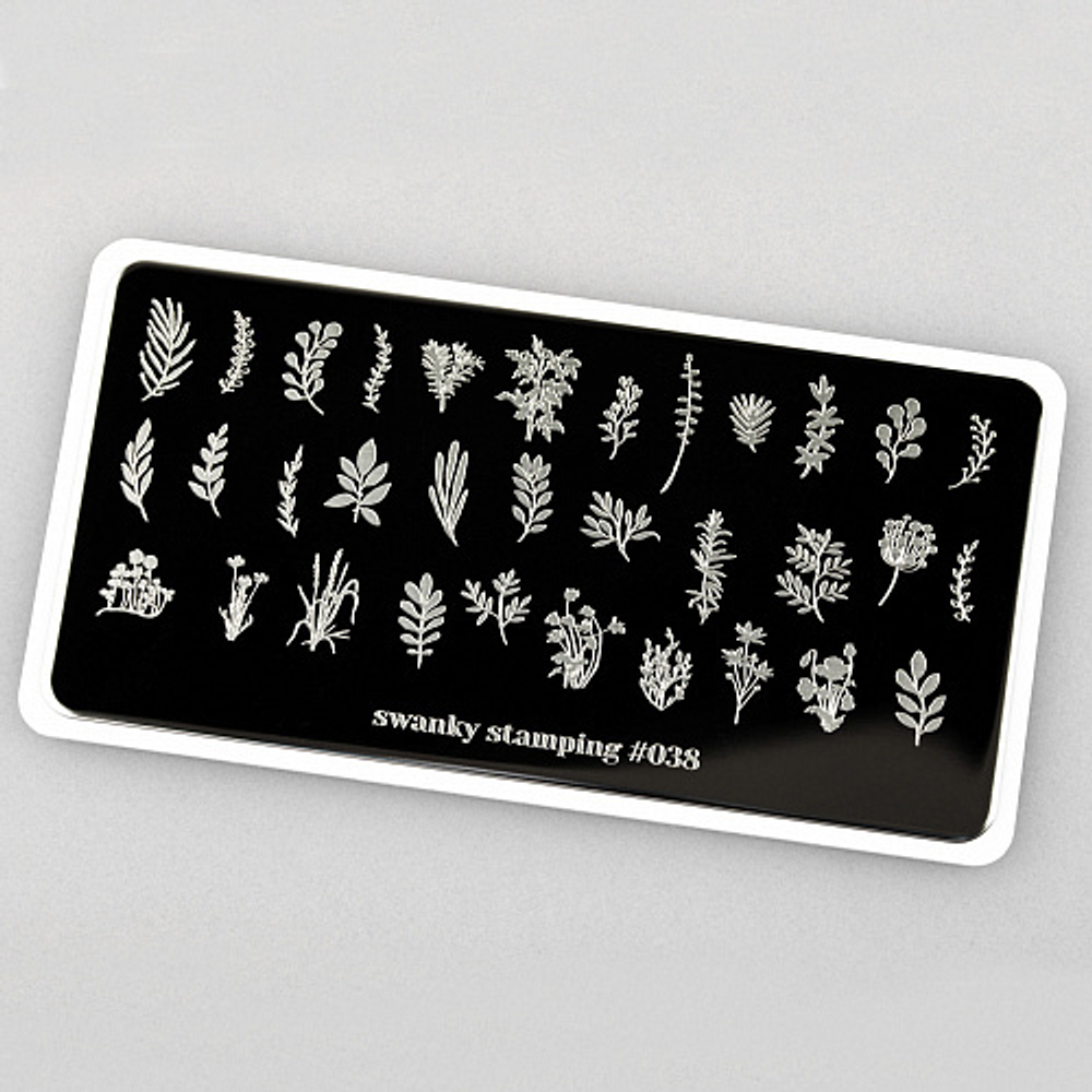 Пластина Swanky Stamping 038