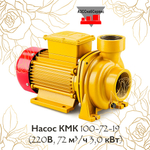 Насос КМК 100-72-19 (220В, 72 м³/ч 3,0 кВт)