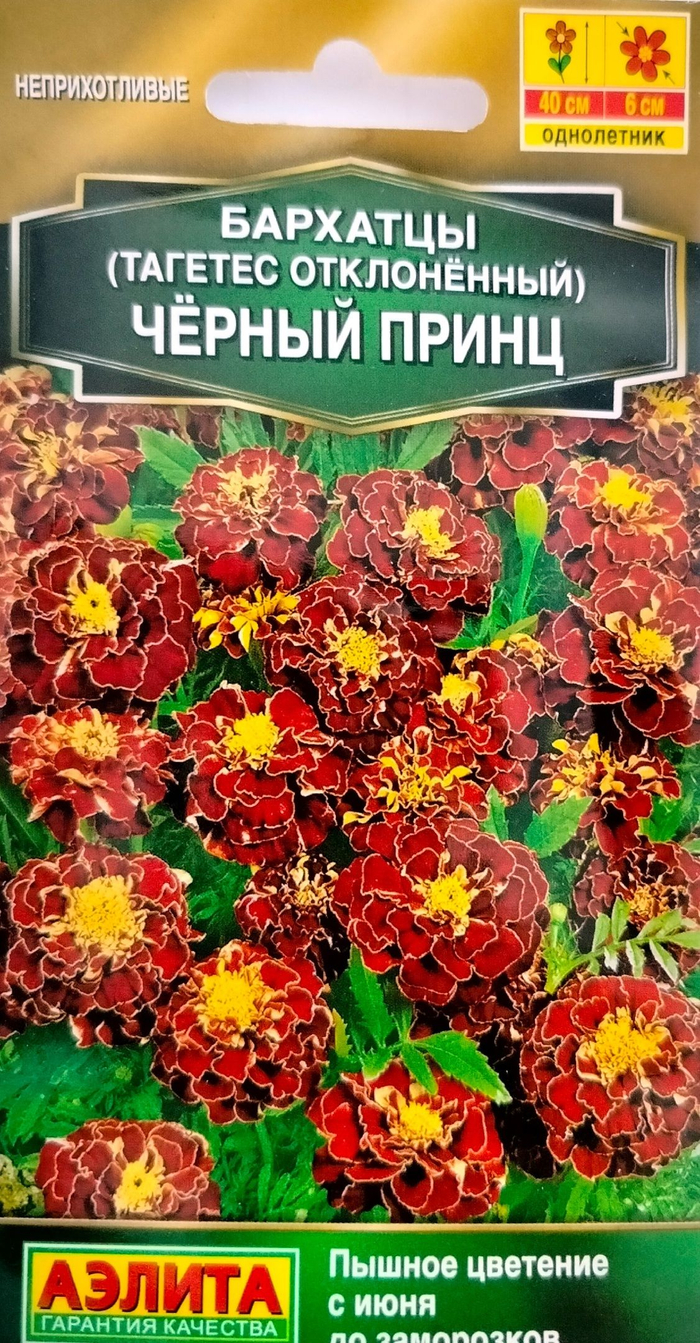 Бархатцы Черный принц однолетник 0,3г (Аэлита)