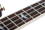 Schecter OMEN EXTREME-4 GLOSS NATURAL ASH