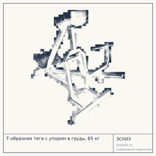 Т-образная тяга с упором в грудь, 85 кг — от 65 000 ₽