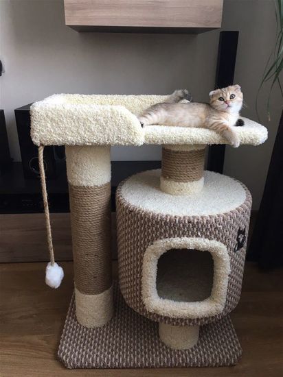 Домик для кота Д-6