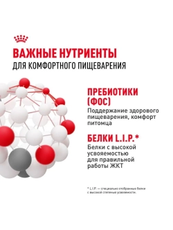 Sensible 33 Корм для кошек с чувствительным пищеварением 2кг
