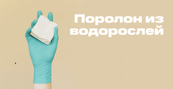 «Зеленое» будущее мебели — диван, набитый водорослями «Зеленое» будущее мебели — диван, набитый водорослями