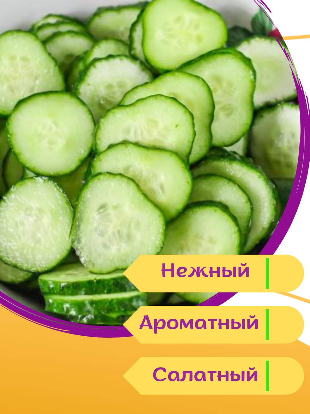 Огурцы китайские жароустойчивые, семена огурцов 0,2 г + семена петрушки или укропа в подарок