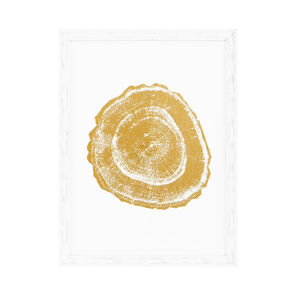 Постер Prints Gold Foil: Tree Rings set of 4 арт.110875