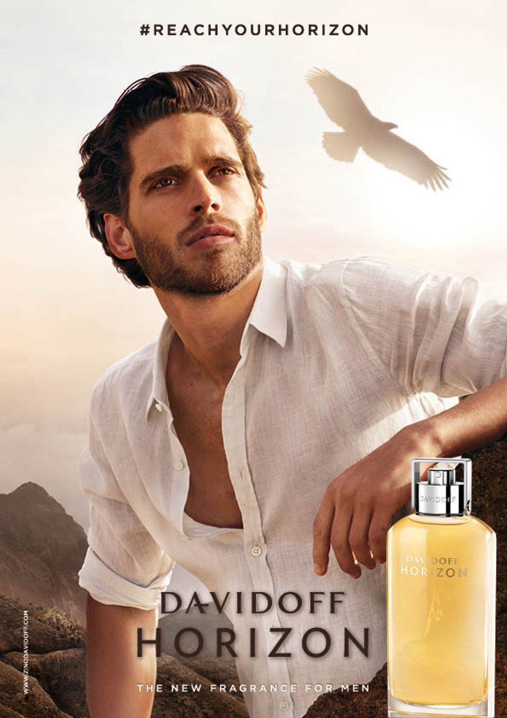 Davidoff Horizon
