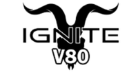Купить V80