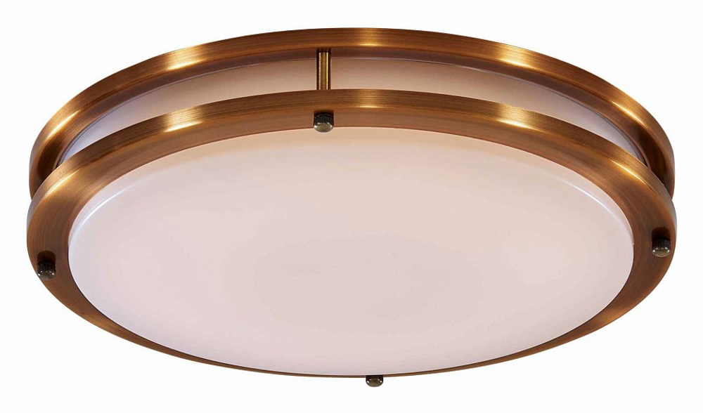 Накладной светильник Citilux Бостон CL709503N