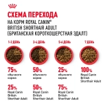 Корм сухой для британских кошек, 2кг Royal Canin British Shorthair 34