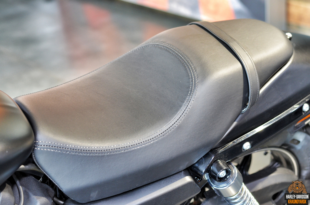 Harley-Davidson Street 750, 2020