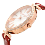 Наручные часы Michael Kors MK2791