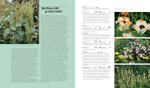 Dream Plants for the Natural Garden. Piet Oudolf