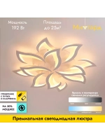 Люстра потолочная светодиодная DF8032/12