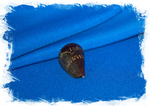 Ракушка Conus franciscanus