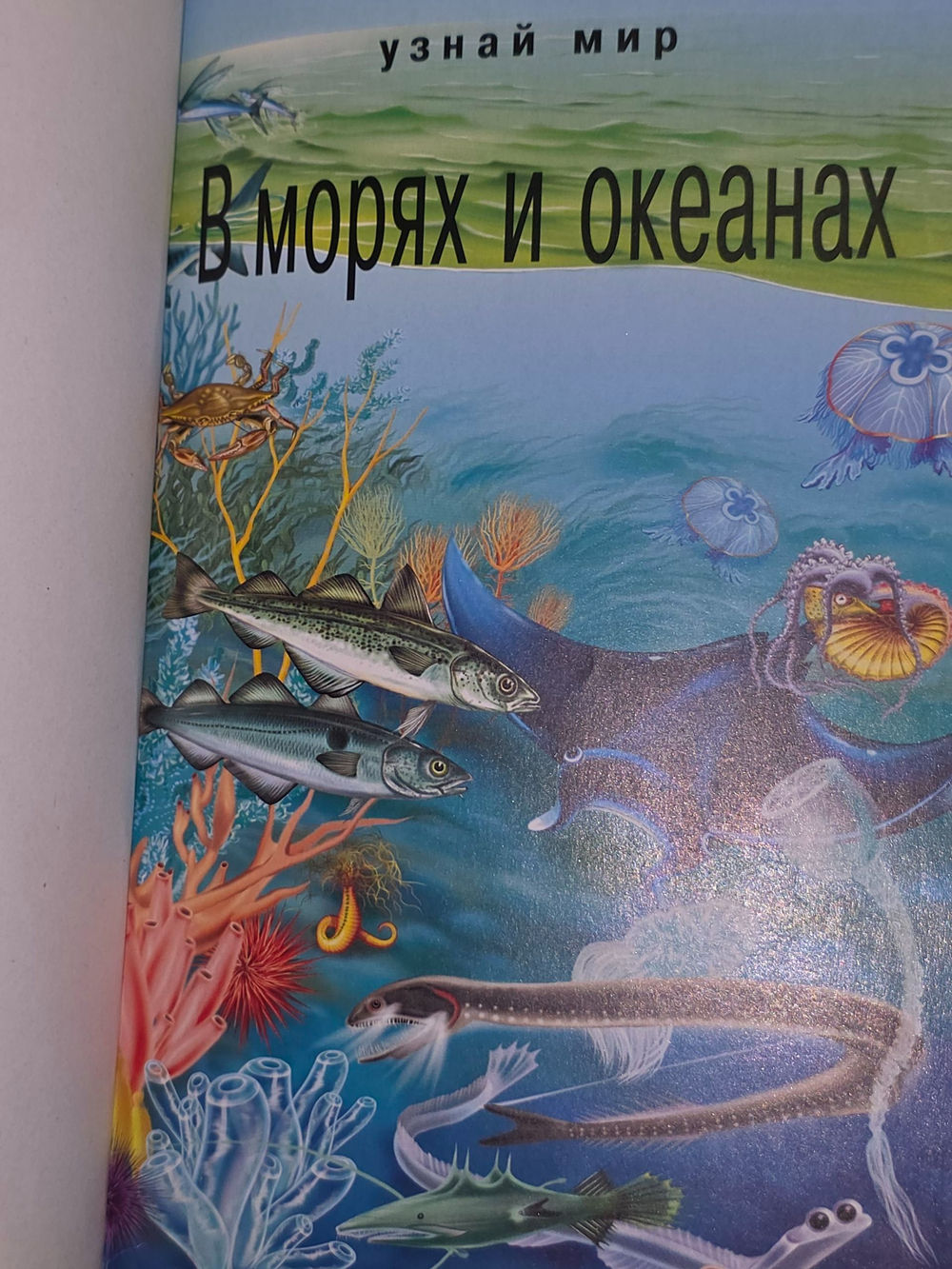 С. Ю. Афонькин. В морях и океанах. Школьный путеводитель