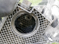 DSCN9252.jpg