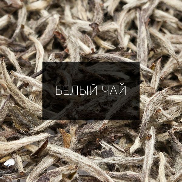 Белый чай: Древнее сокровище Китая Белый чай: Древнее сокровище Китая