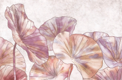 Коллекция Grafika Natura