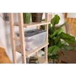 Контейнер для хранения с крышкой «MobiBox», цвет серый, 22*38*17см 10л✦