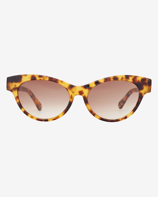 Очки солнцезащитные Spunky COCO 6 Tortoise. gradient brown - фото 1