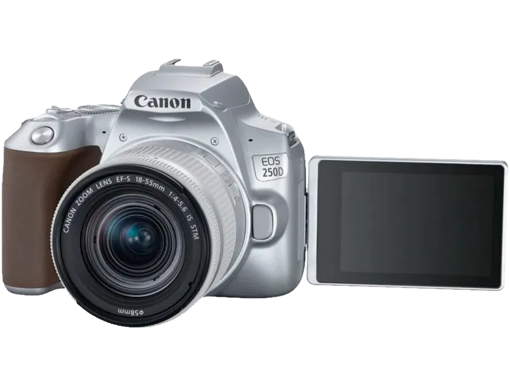 Зеркальный фотоаппарат Canon EOS 250D Kit EF-S 18-55mm f/4.0-5.6 IS STM Серебристый