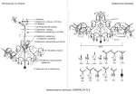Светильник потолочный Crystal Lux ESMIRALDA PL9 GOLD 0523/109