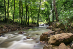 Нейтрально серый фильтр Hoya ND100 PRO 77mm