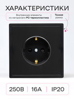 Розетка внутренняя одинарная с заземлением черная