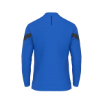 Джемпер тренировочный Evolution 24 Drill Top — Team royal blue/anthracite