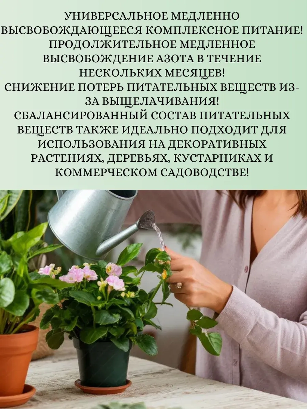 Комплексное питание для комнатных цветов 100гр