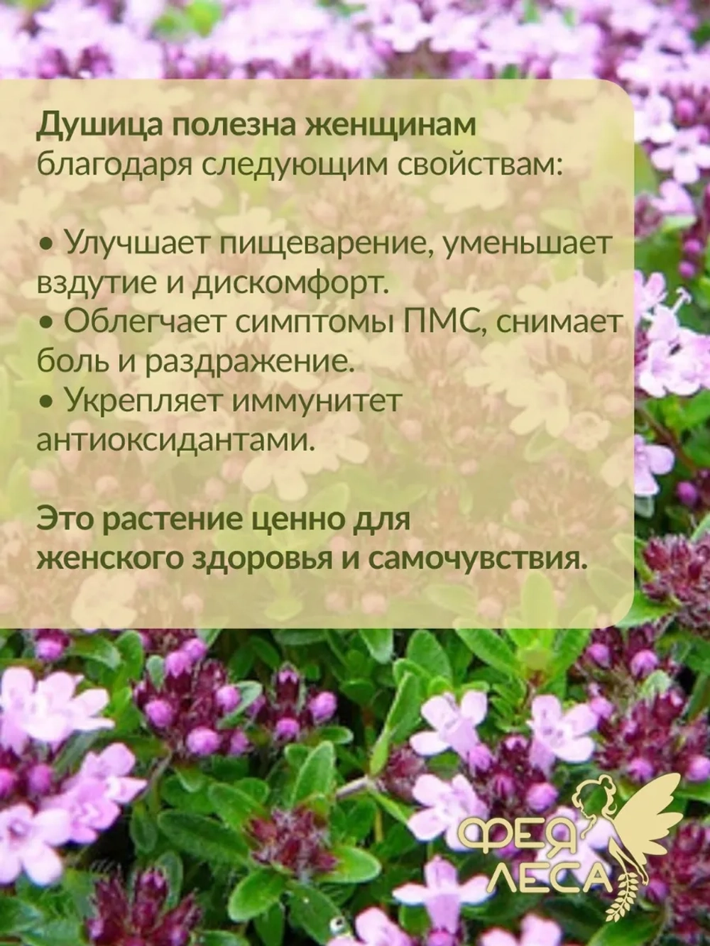 Новогодний набор Иван-чай Лаванда Мятой Душица