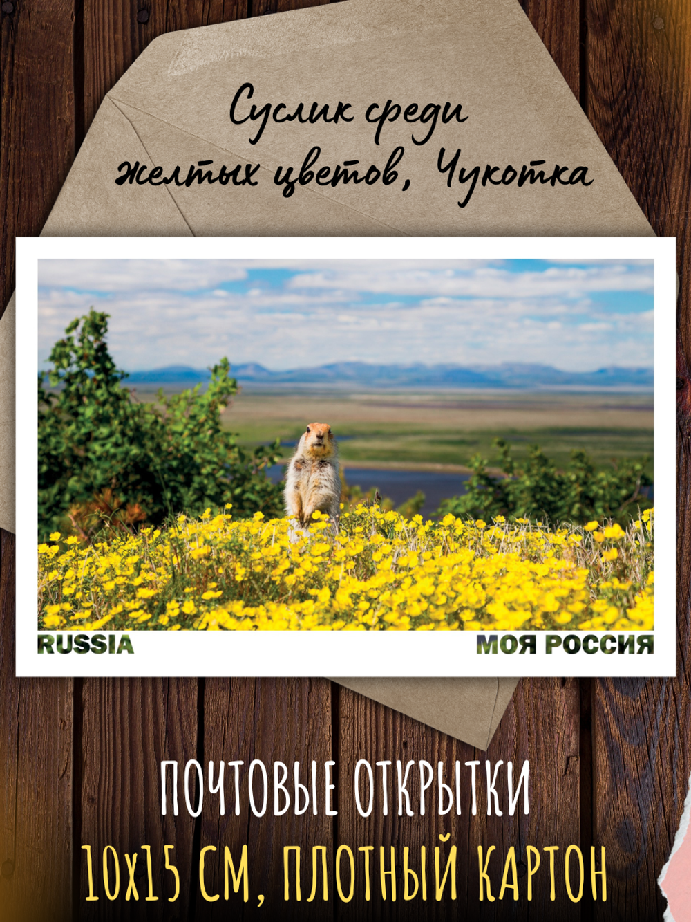 Моя Россия. Лето (выпуск №5, 2026)
