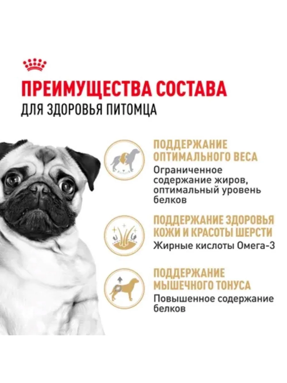 Pug Adult Корм для собак породы мопс 500г