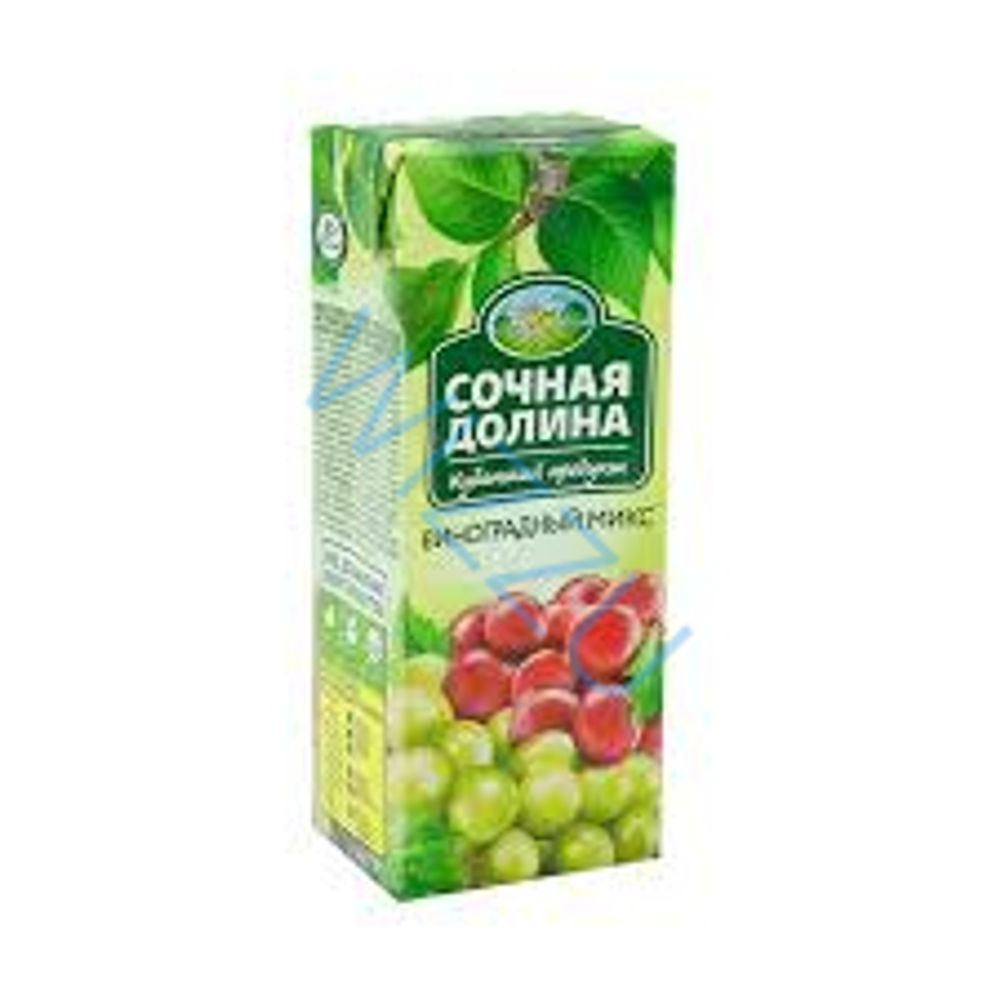 Нектар Сочная долина виноградный микс 0,2л