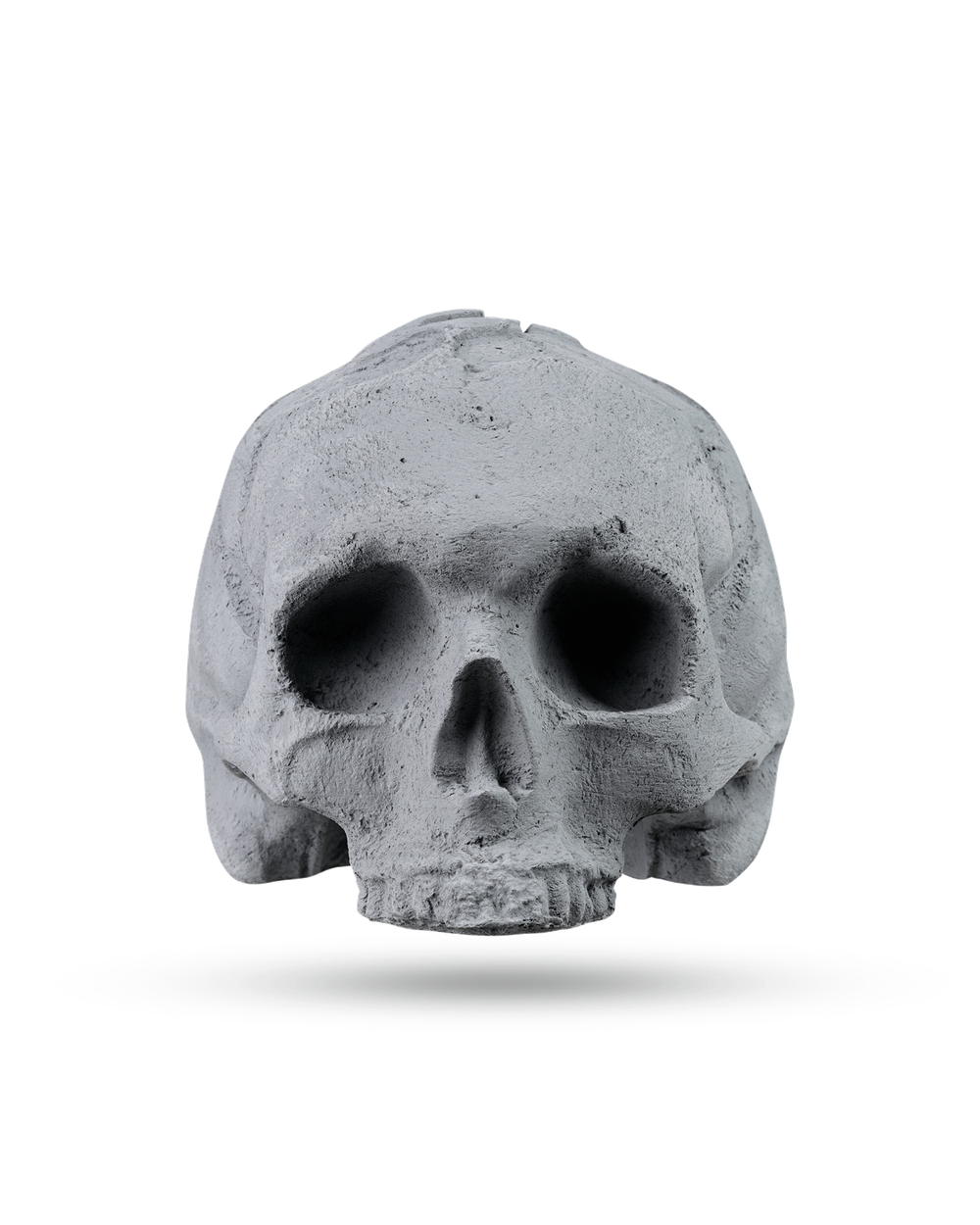 KOSTIN SKULL grey