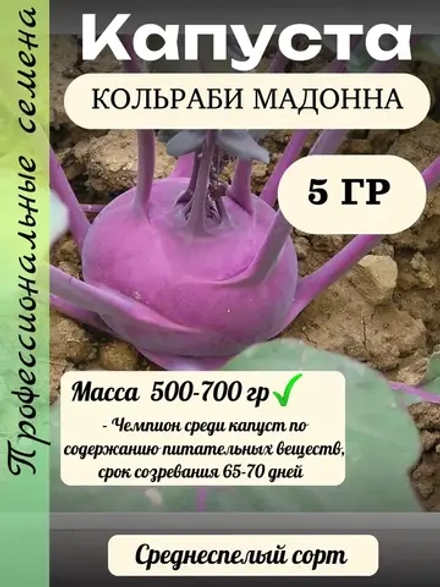 Семена Капуста кольраби Мадонна 5гр
