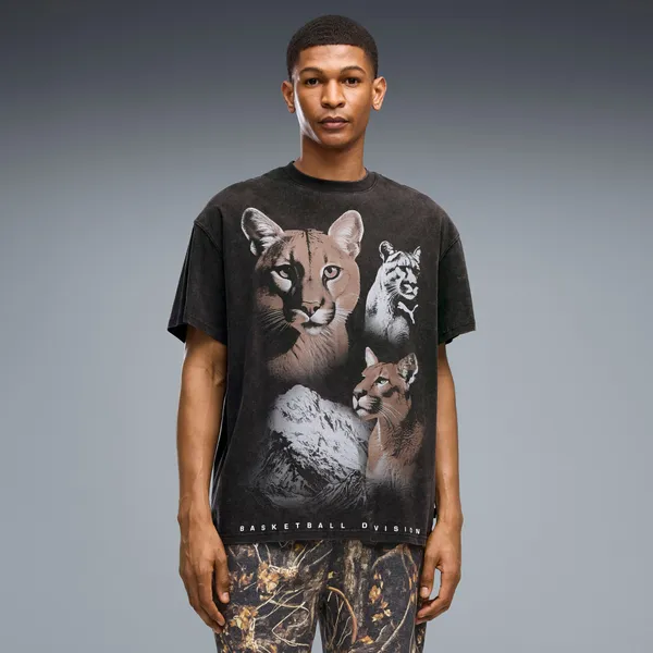 Футболка мужская PUMA DYLAN WILDCAT Tee II